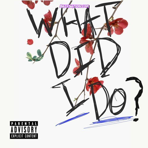 Digital Nas - What Did I Do? Mp3 Download