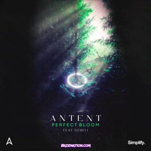 Antent – Perfect Bloom (feat. Nomeli) Mp3 Download