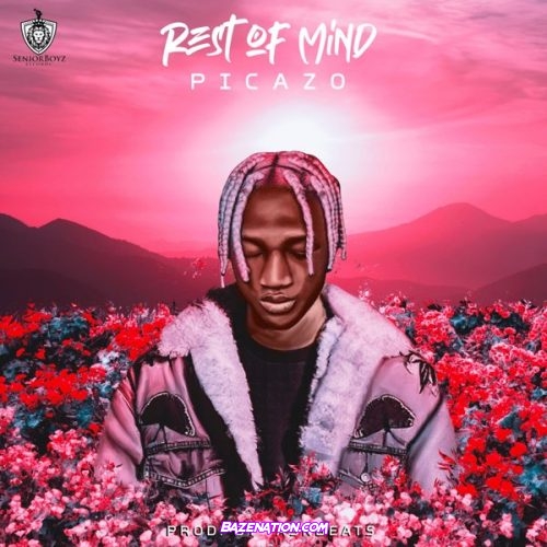 Picazo – Rest Of Mind Mp3 Download