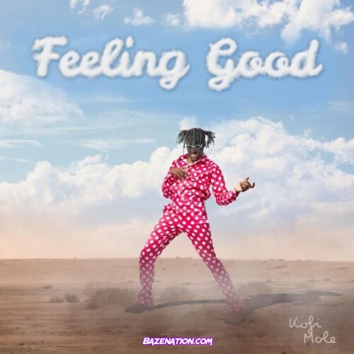 Kofi Mole – Feeling Good Mp3 Download