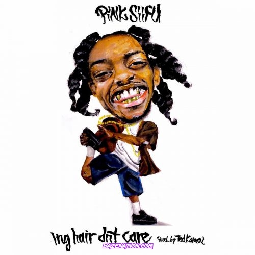 Pink Siifu – lng hair dnt care (prod. Ted Kamal) Mp3 Download