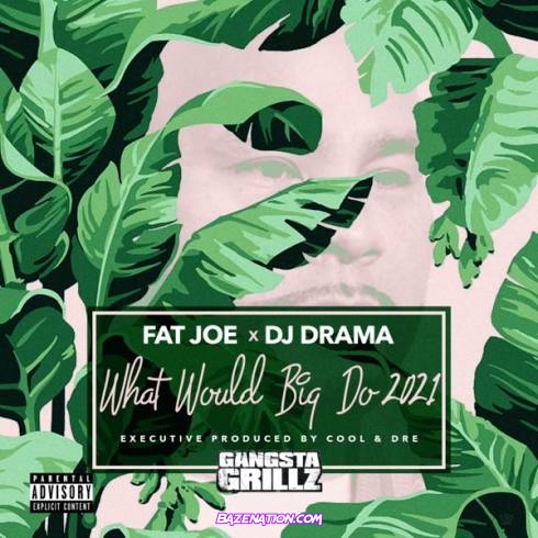 Fat Joe & DJ Drama – Intro (Ft. Cool & Dre, CeeLo Green) Mp3 Download