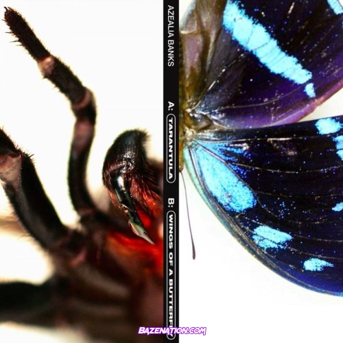 Azealia Banks - Tarantula Mp3 Download