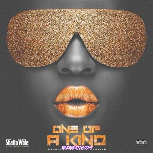 Shatta Wale – One of a Kind Mp3 Download