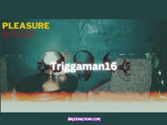 Rich gang - Pleasure&pain (feat. Triggaman16)