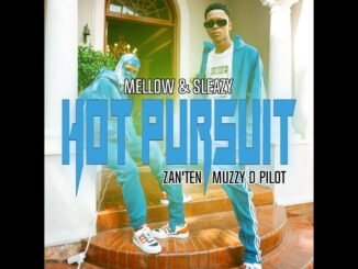 Mellow - Hot Pursuit Ft. Sleazy & Zan'Ten