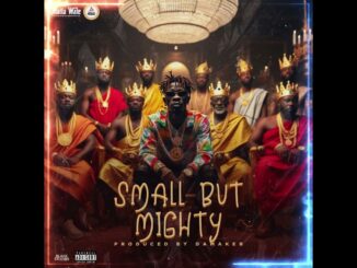 Shatta Wale - Small But Mighty